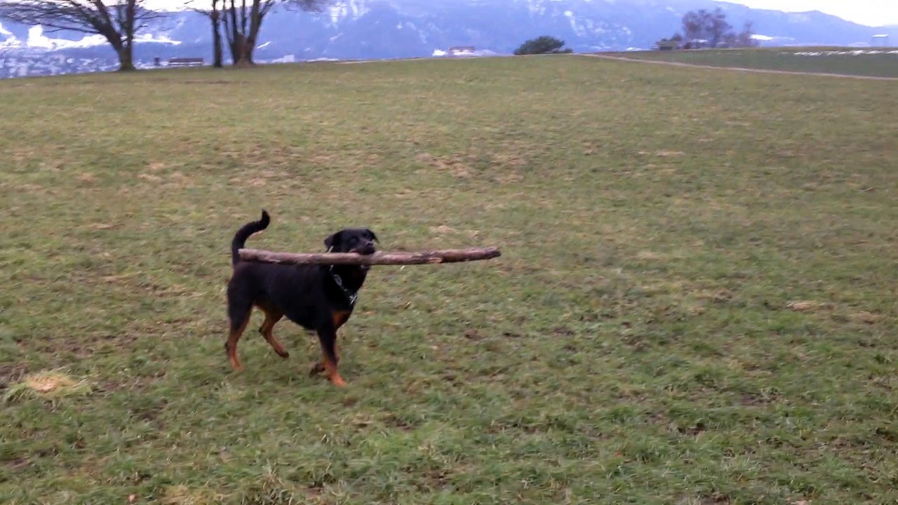 Vegetarisches Restaurant Zürich