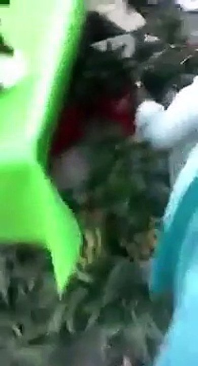 Oh my God watch it