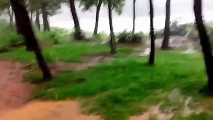 Rain in Village Road of Beautiful Bangladesh