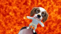Собака на Сене пародия на Арсения Яценюка мультфильм фотожаба