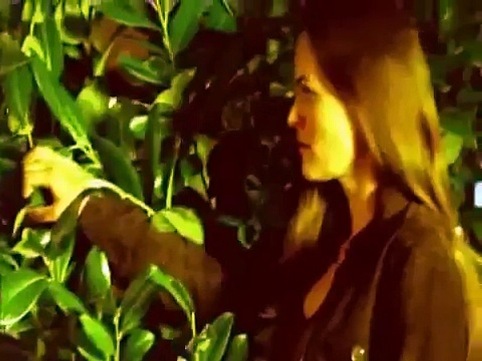 RIS - Die Sprache der Toten S01E22 (Wahre Liebe)