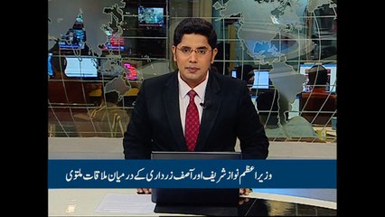 Nawaz postpones Zardari meeting after anti-army statement