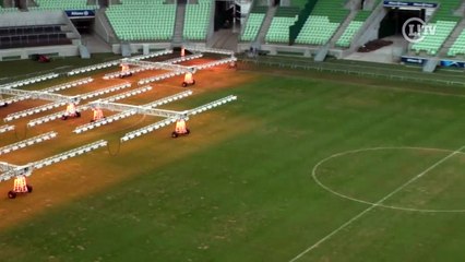 Após críticas, gramado do Allianz passa por cuidados especiais