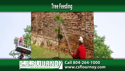 Richmond Tree Removal Company - C.S. Flournoy Inc
