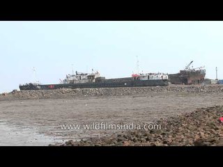 Ships waiting to be recycled at Alang