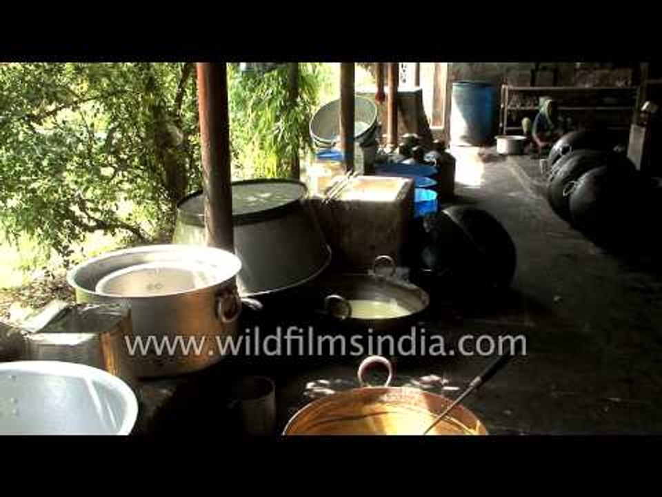 Indian workers making sugar syrup for sweets at...