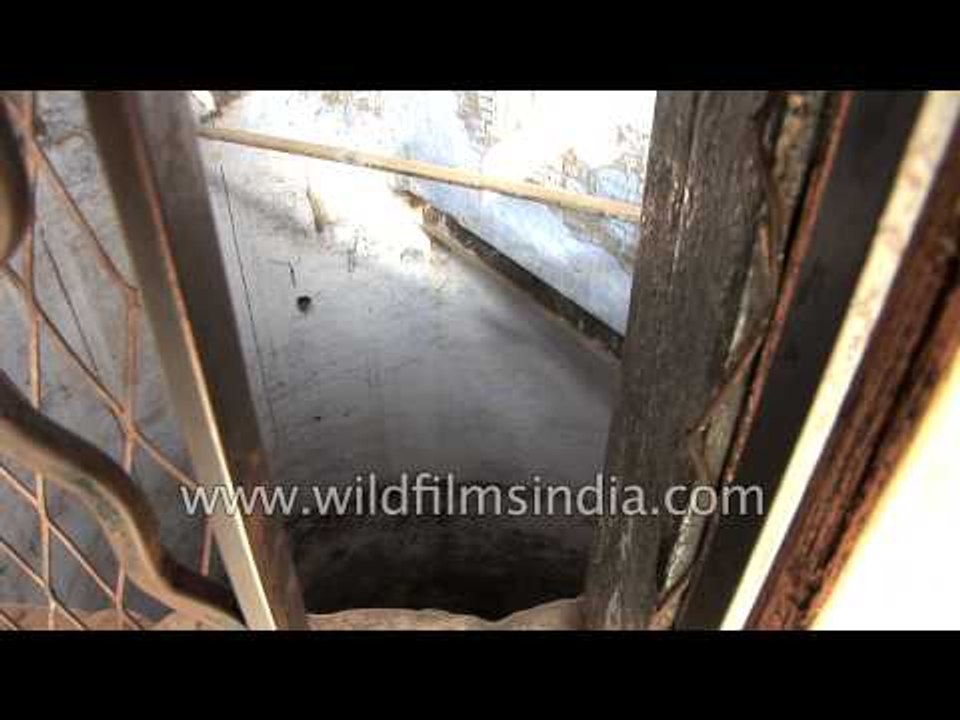 Visitors at Jallianwala Bagh - Amritsar, Punjab