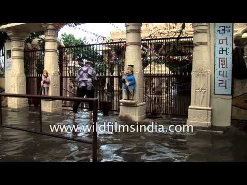 Hindu temple gets flooded with heavy rains - Baroda, Gujarat