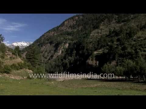 Stream flows en route Lamkhaga pass - Himachal Pradesh