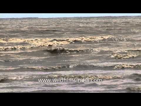 Devotees at a beach in Alang, Gujarat