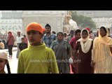 Sikh pilgrims throng Golden Temple, Amritsar