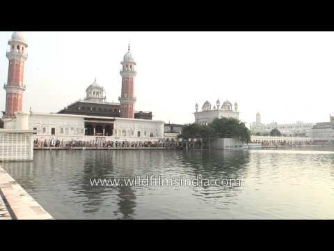 Devotees bathe in holy sarovar at Golden temple, Amritsar
