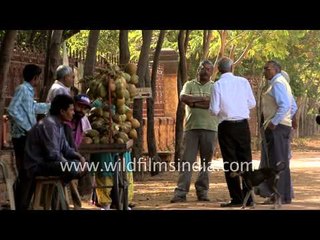 Old folks drinking coconut water to beat the heat