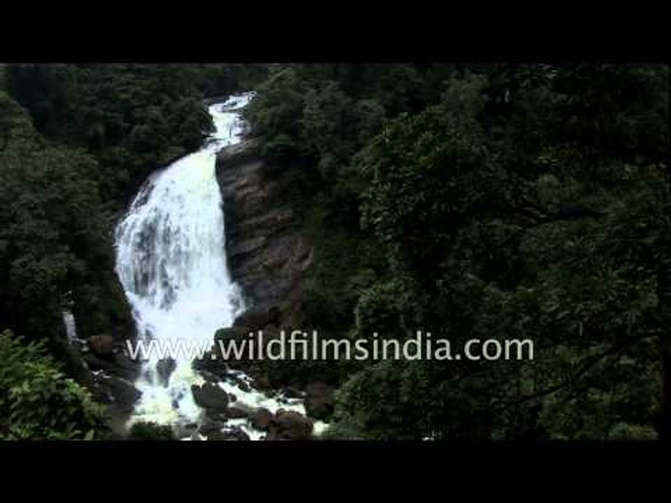 Attukal waterfall enroute to Munnar