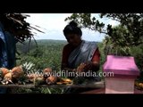Woman peels pineapple for sale on Tamil Nadu-Kerala border