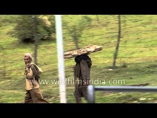 Kashmiri farmers walk home after completing daily work