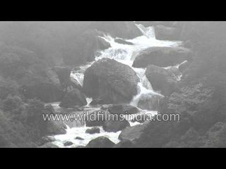 Attukal Waterfall en route Munnar