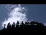 Conifers and clouds - Kashmir time lapse