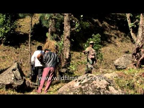 Anglers crossing Pahalgam stream: Kashmir angling expedition