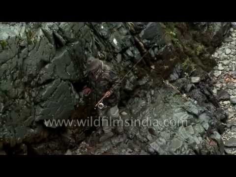 Angling or sport fishing on Indian rivers - Kashmir