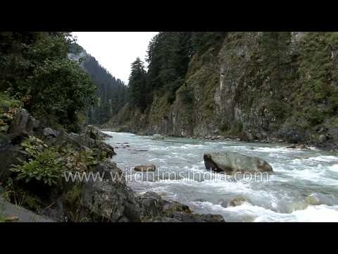 Pahalgam stream - one of Kashmir's important fishing retreats