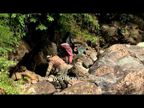 Fly fisherman walks down on slippery rocks for trout fishing - Kashmir
