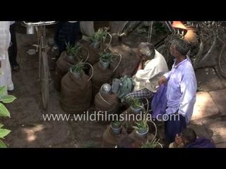 Milk dealing in the bylanes of Varanasi