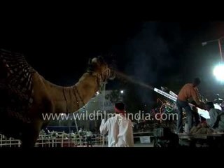 Students take out a carnival parade : Rann Utsav, Gujarat