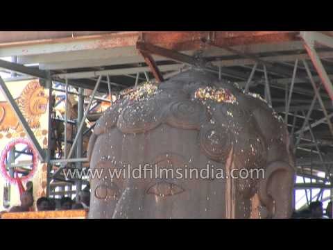 Devotees shower flowers and milk at the monolithic statue of Gomateshwara, Karnataka