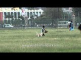 Kids playing with dog at a ground in Kathmandu city, Nepal