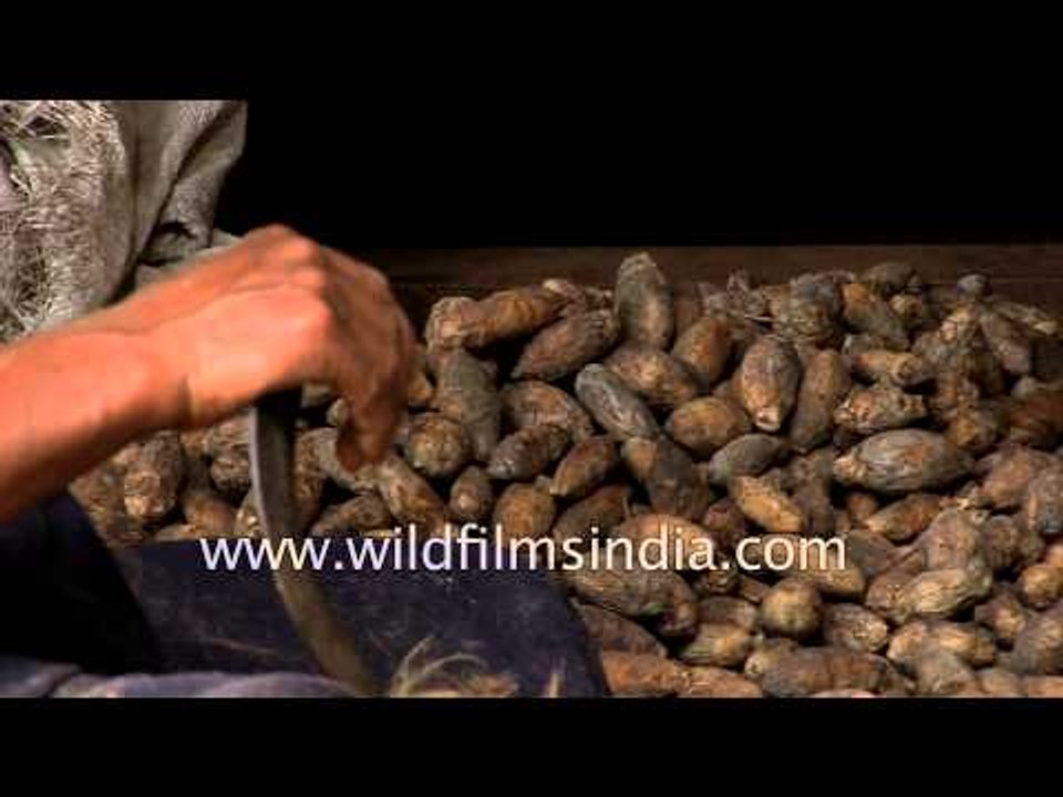 Betel nut or supari being prepared in Kerala