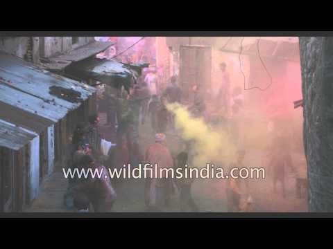 Multi-coloured powder Holi in Gokul, Uttar Pradesh