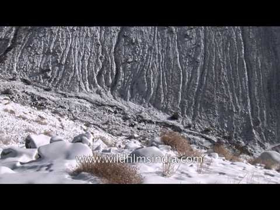 Ladakh - the land where snow, sun and silence prevail