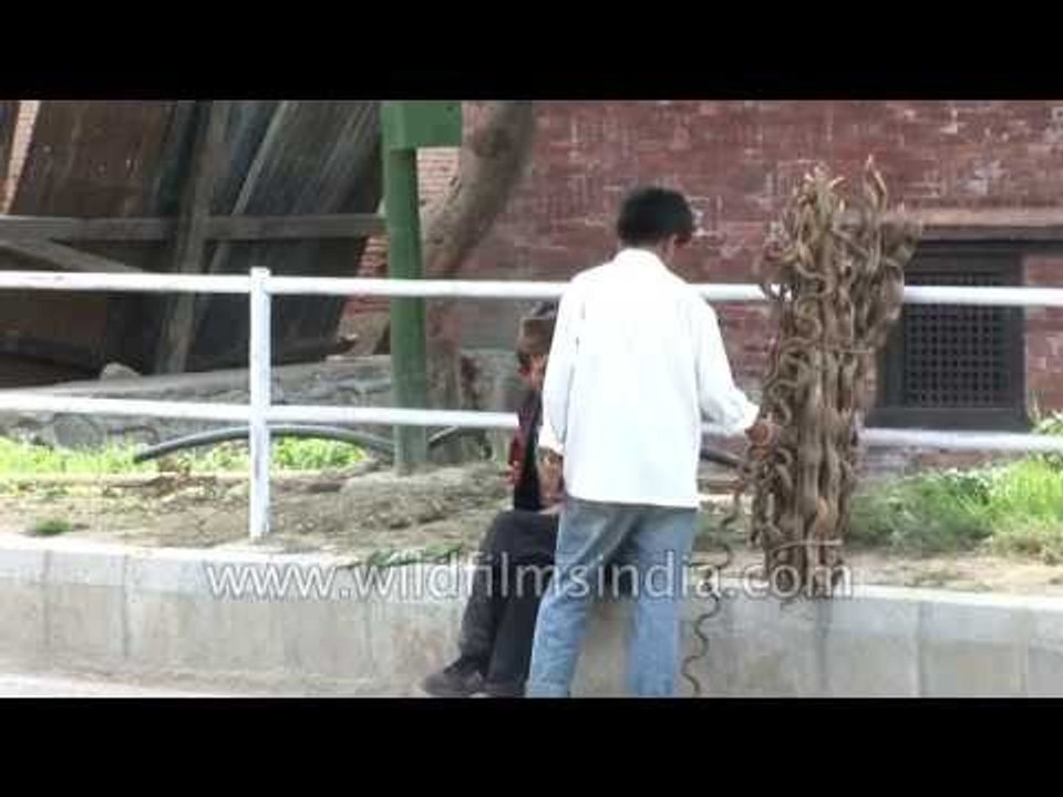 Nepali man sells snake shaped sticks - Kathmandu