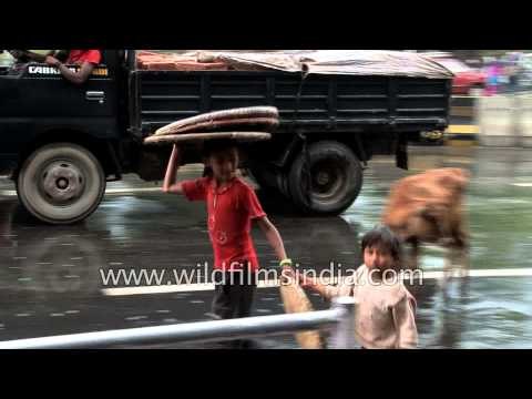 Rainy day in Kathmandu : umbrellas come out in Putalisadak