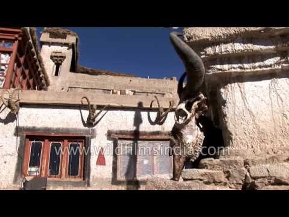 Homestay in Ladakh, Oleh Village