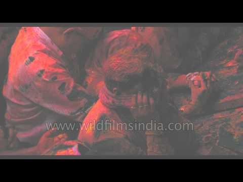 Celebrating festival of colours at Banke Bihari temple - Vrindavan