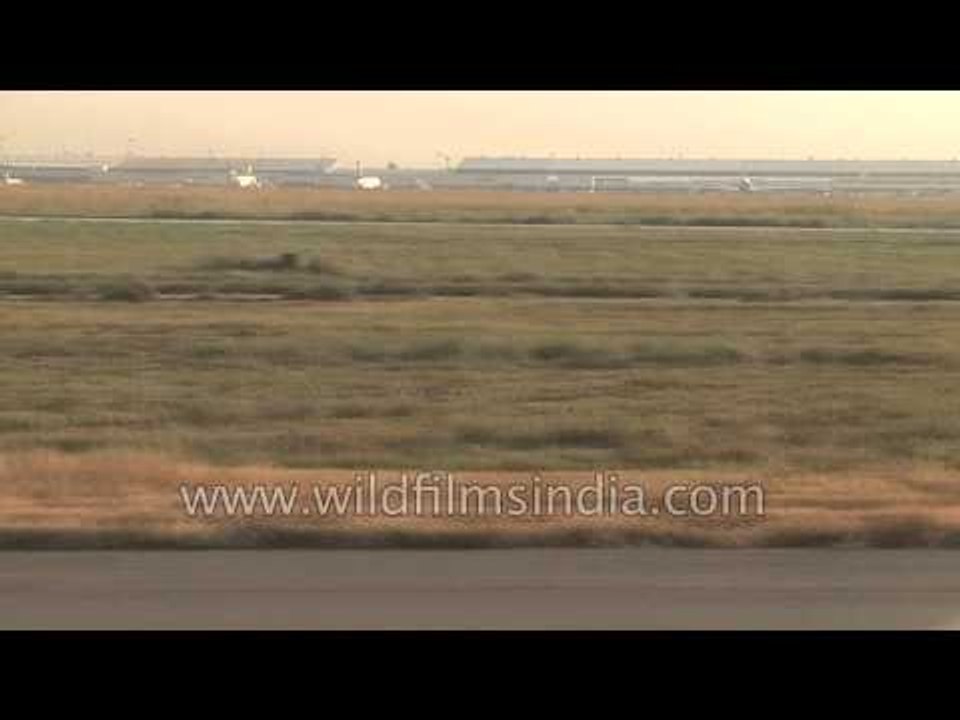 Airplane taxiing at Delhi's Indra Gandhi International Airport