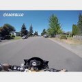 Un motard héros arrête un voleur de moto en le faisant tomber en pleine course poursuite