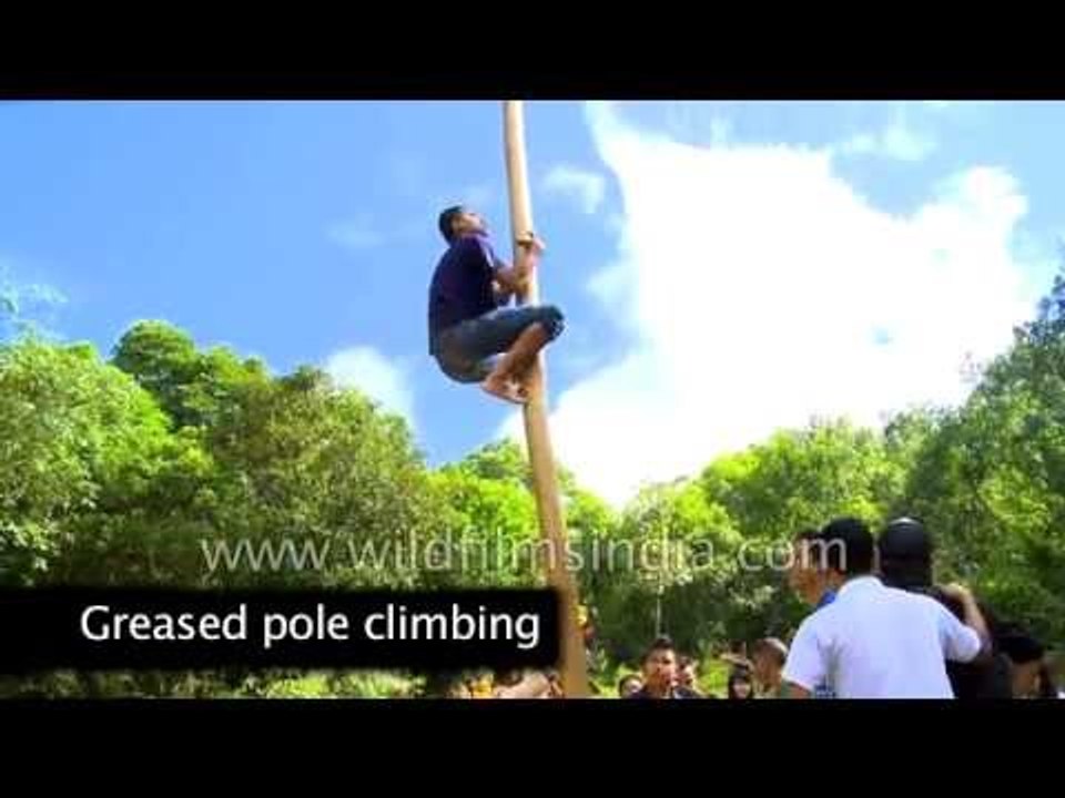 Best of Anthurium festival - Pole climbing, rifle shooting and lots more!