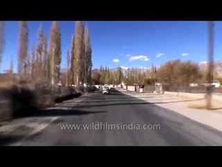 Shey Monastery to Kalchakra ground Leh Mahabodhi International Meditation Center