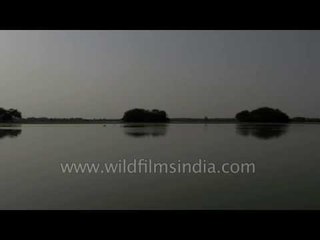 Drifting across the placid waters of Nal Sarovar wetland in Gujarat