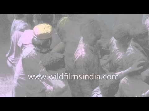 Smeared with colours of unity: People celebrate Holi at Banke Bihari Temple, India