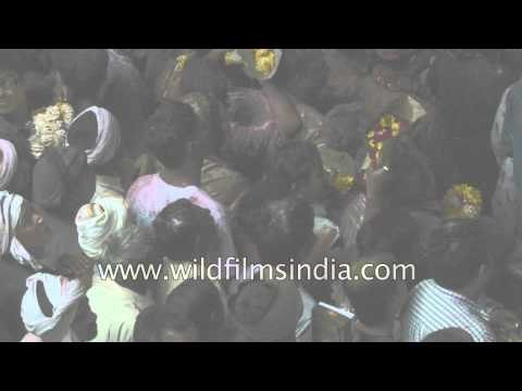 People throng 'Banke Bihari Temple' during Holi Festival, India