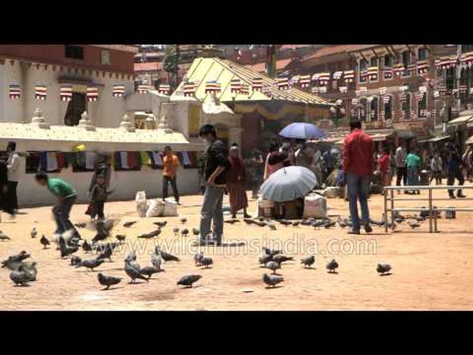 Visitors feeding pigeons at the Boudhanath stupa - Kathmandu