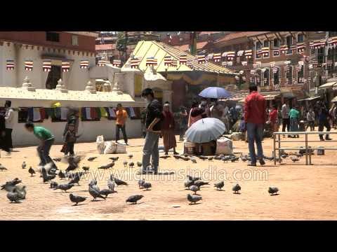 Visitors feeding pigeons at the Boudhanath stupa - Kathmandu