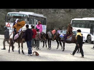 Download Video: Jankichatti: midway destination during Yamunotri tour or Char dham yatra