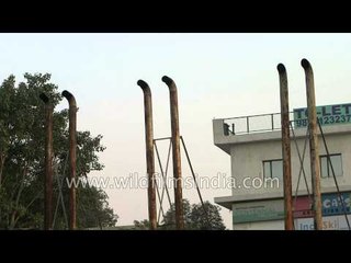 Generator exhaust stacks in Delhi: how our air gets fouled