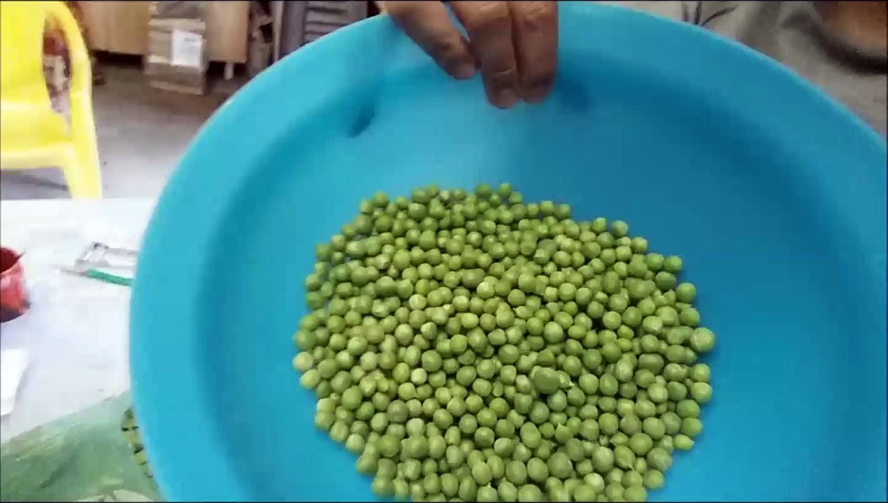 Les petits pois du Professeur Djack d'Alsace Brumath