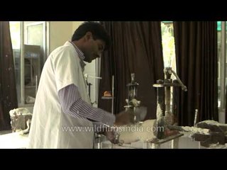 Orthopedic technician grinding leg plaster cast